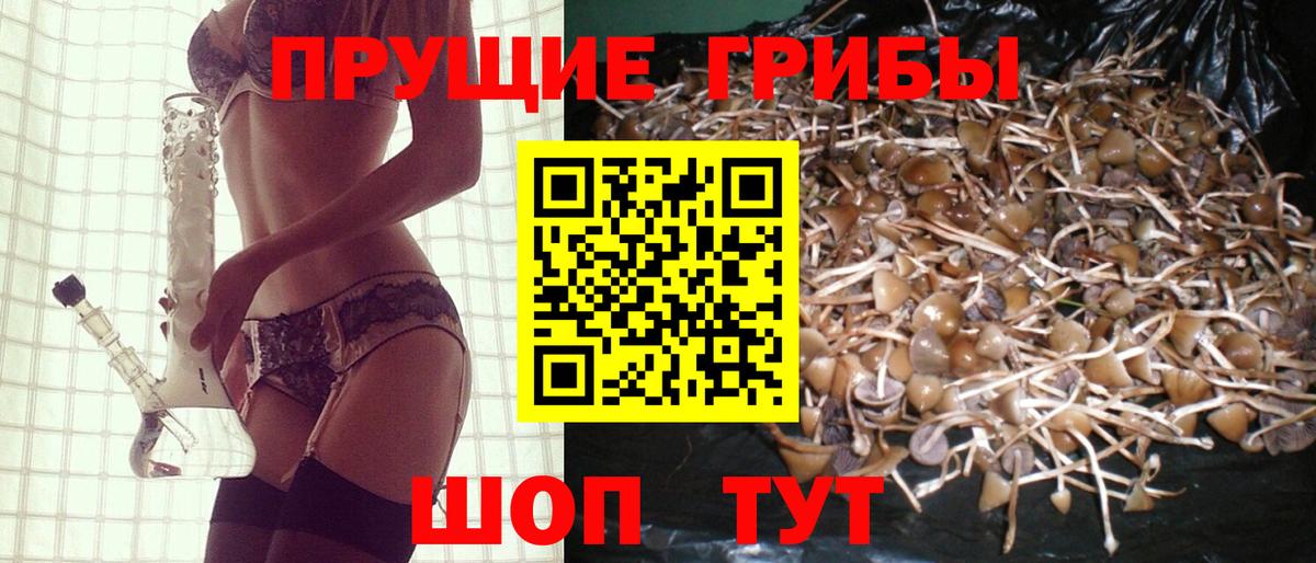 Альфа ПВП Лесной