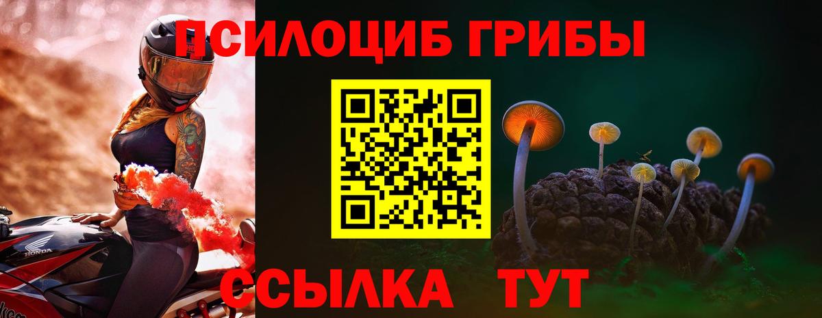 купить наркотики цена  Вход с VPN  Лесной  Псилоцибиновые грибы прущие грибы 
